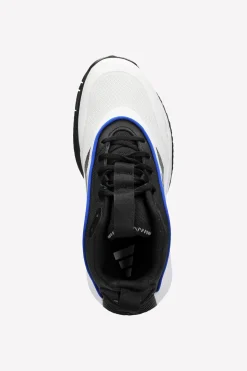 adidas Ownthegame 3.0