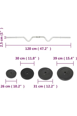 Barra Com Disco Vidaxl 2.5 X 120 CM