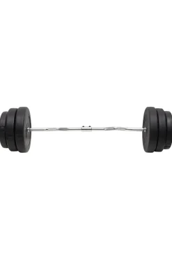 Barra Com Disco Vidaxl 2.5 X 120 CM
