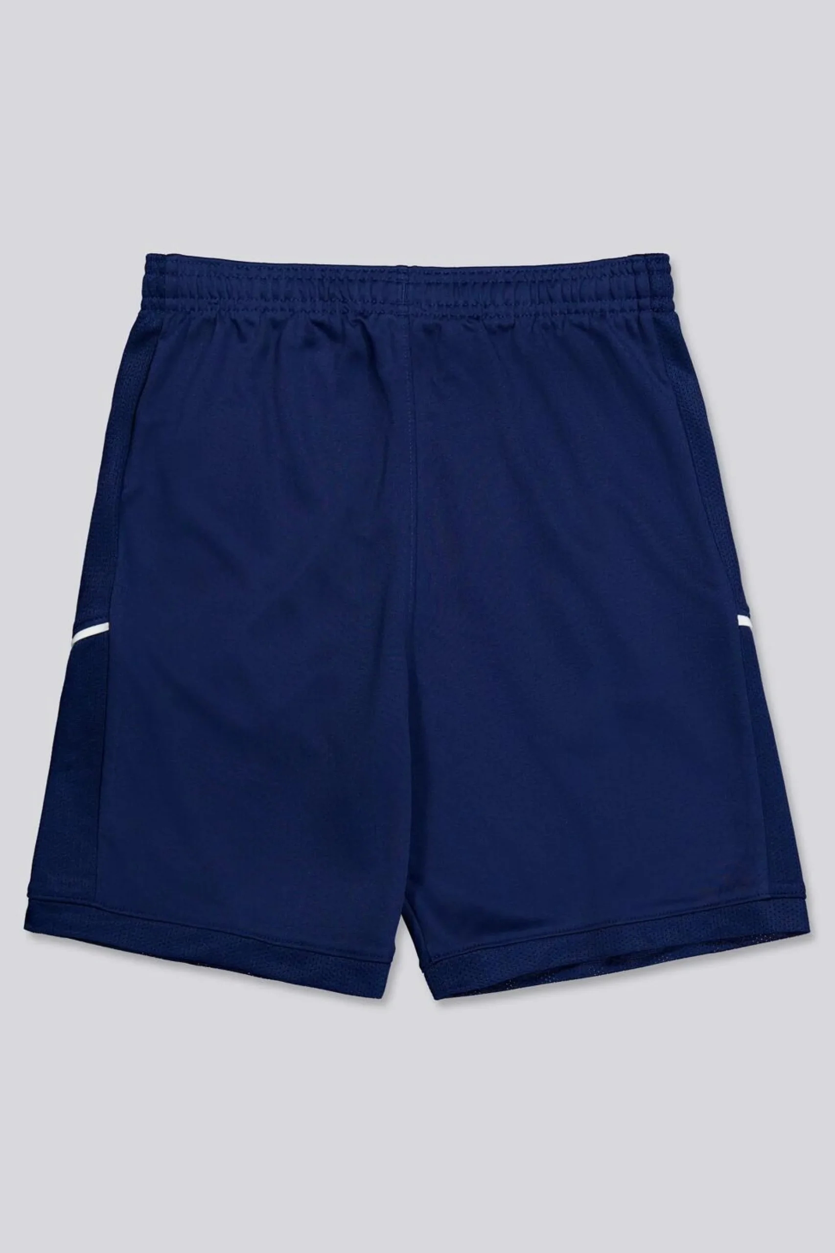 Calções Nike Academy 25