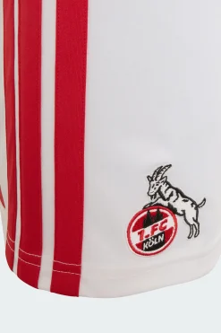 Calções Principais 26/27 Do 1. Fc Koeln - Criança adidas
