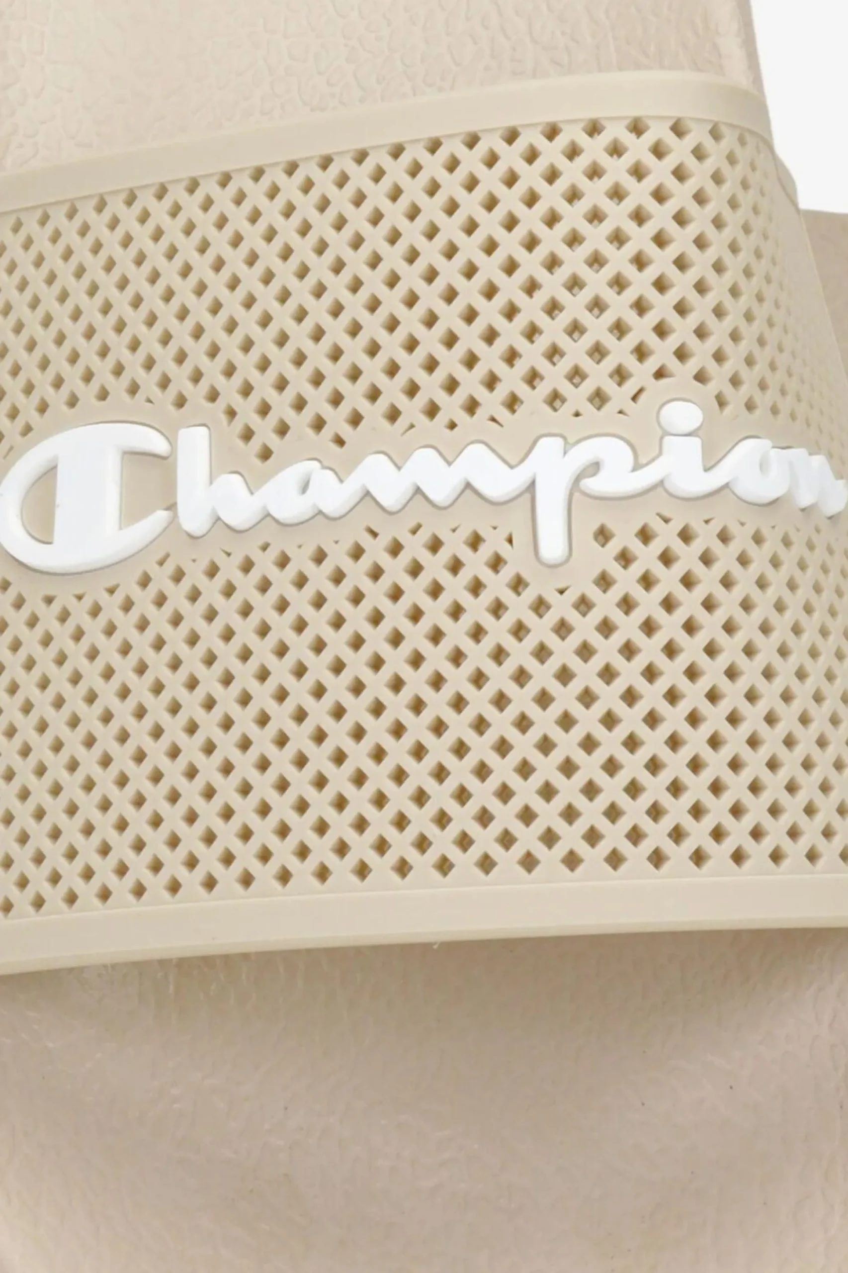 Champion Daytona