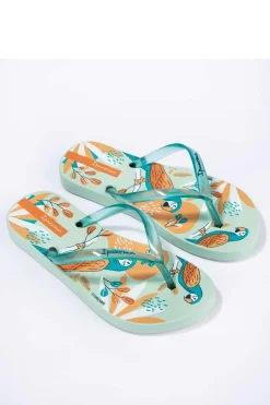 Chinelos Ipanema Temas Kids