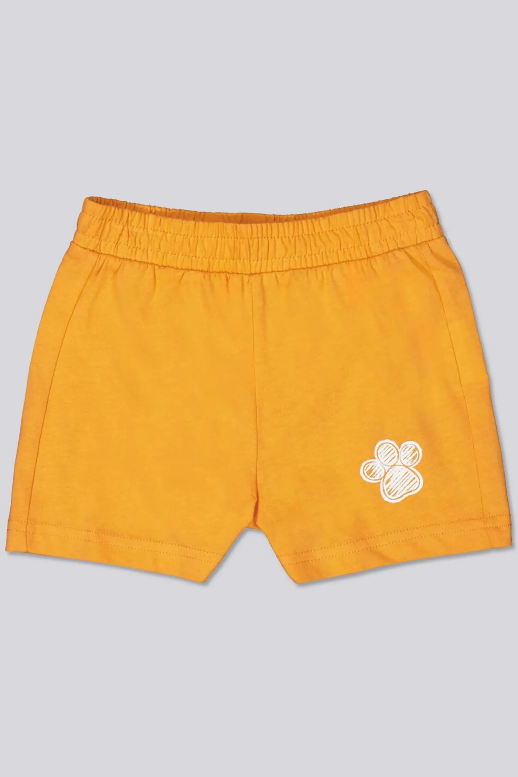 Conjunto Patrulha Pata