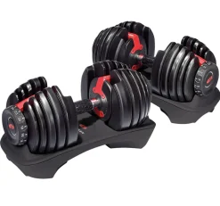 Halteres 552i Selecttech Bowflex (Par)