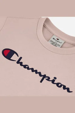 Hoodie Champion
