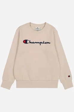 Hoodie Champion