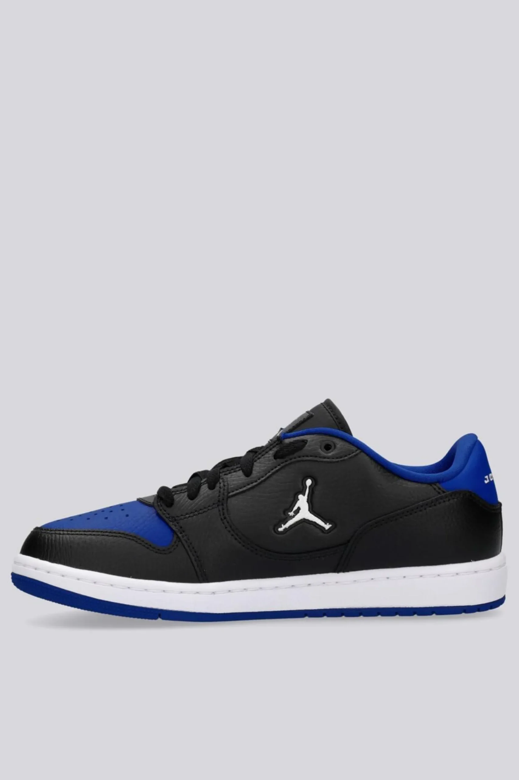 Jordan Acces Court Low