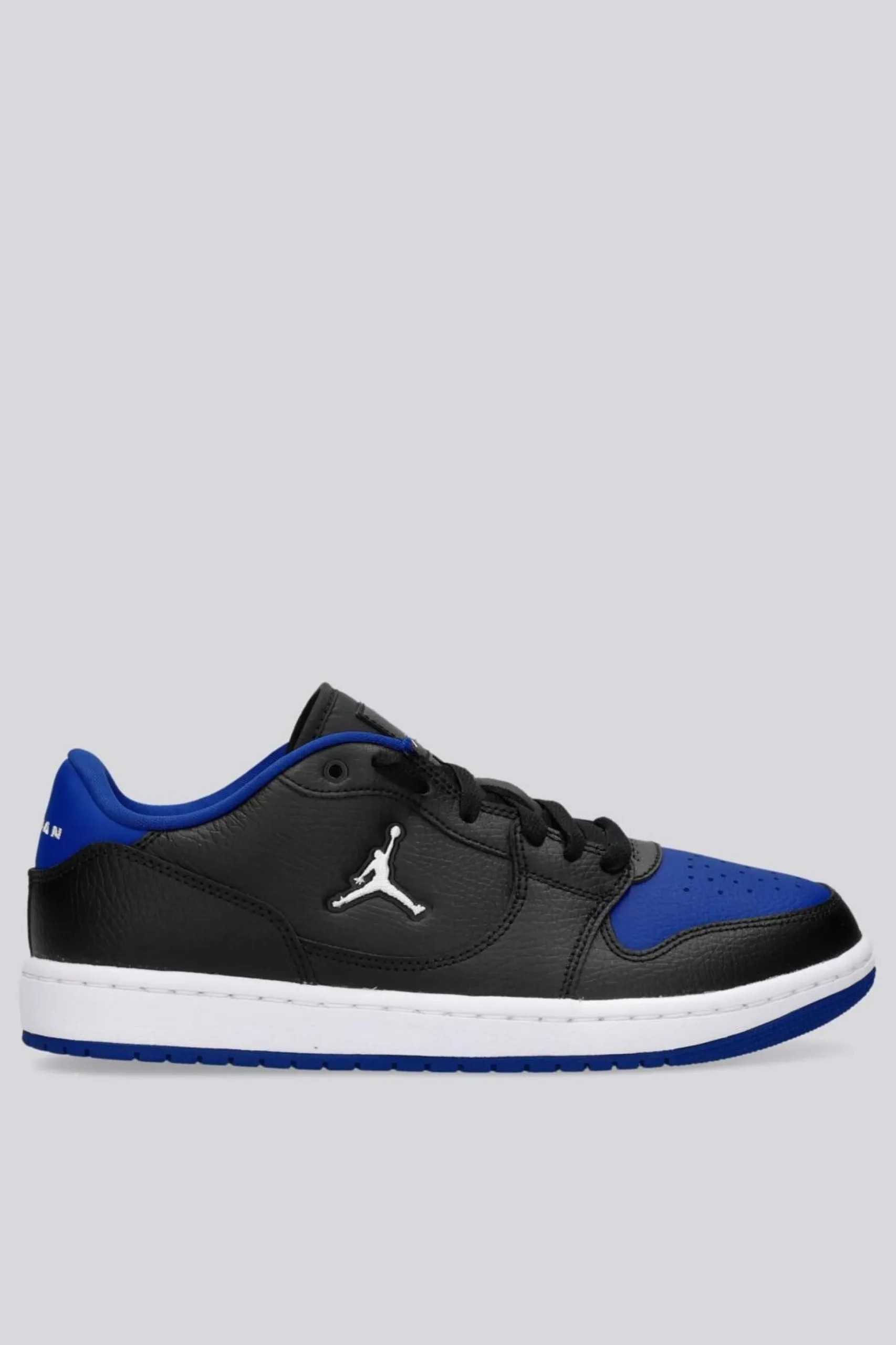 Jordan Acces Court Low
