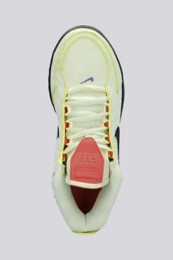 Nike Lebron