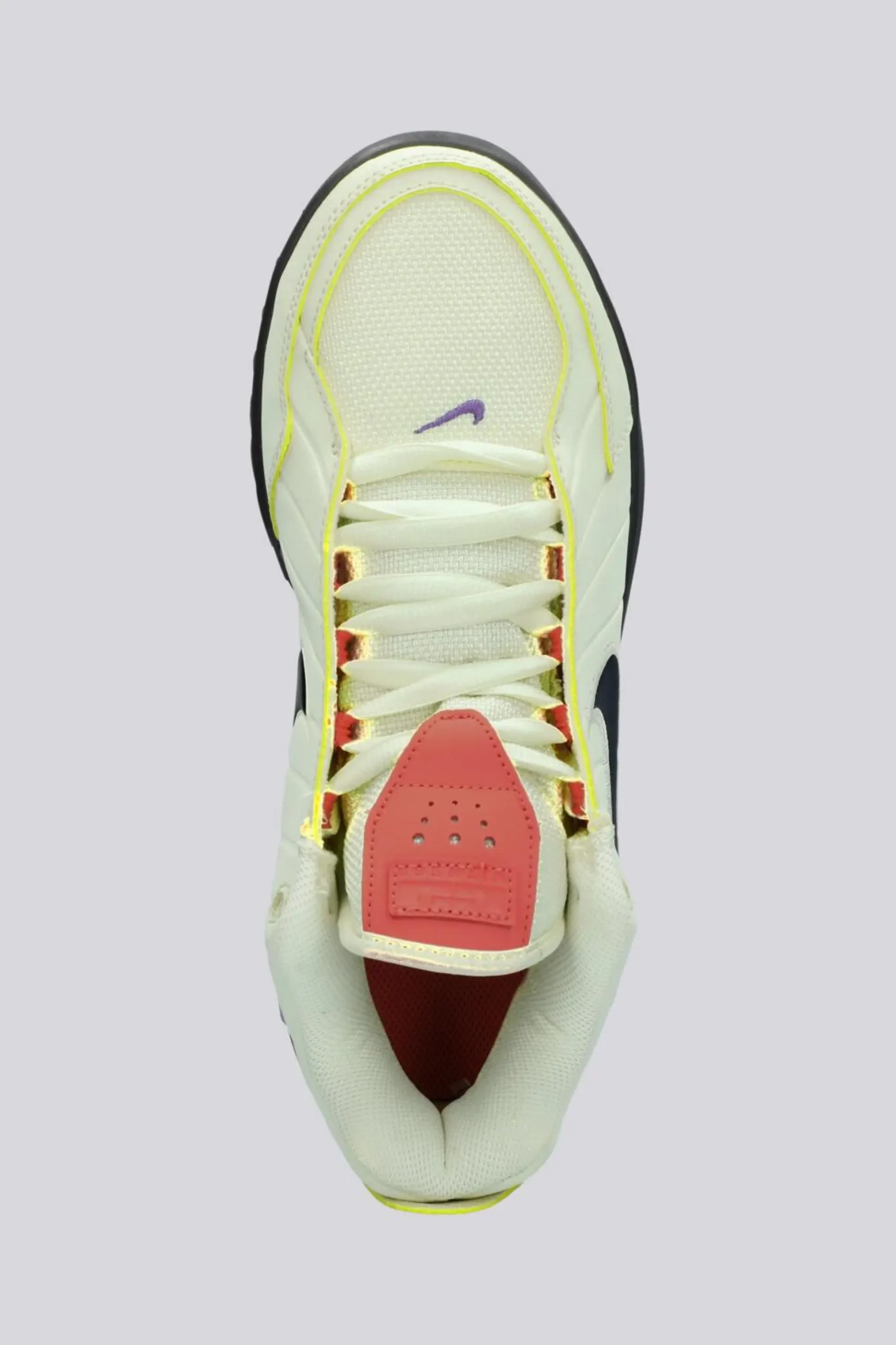 Nike Lebron