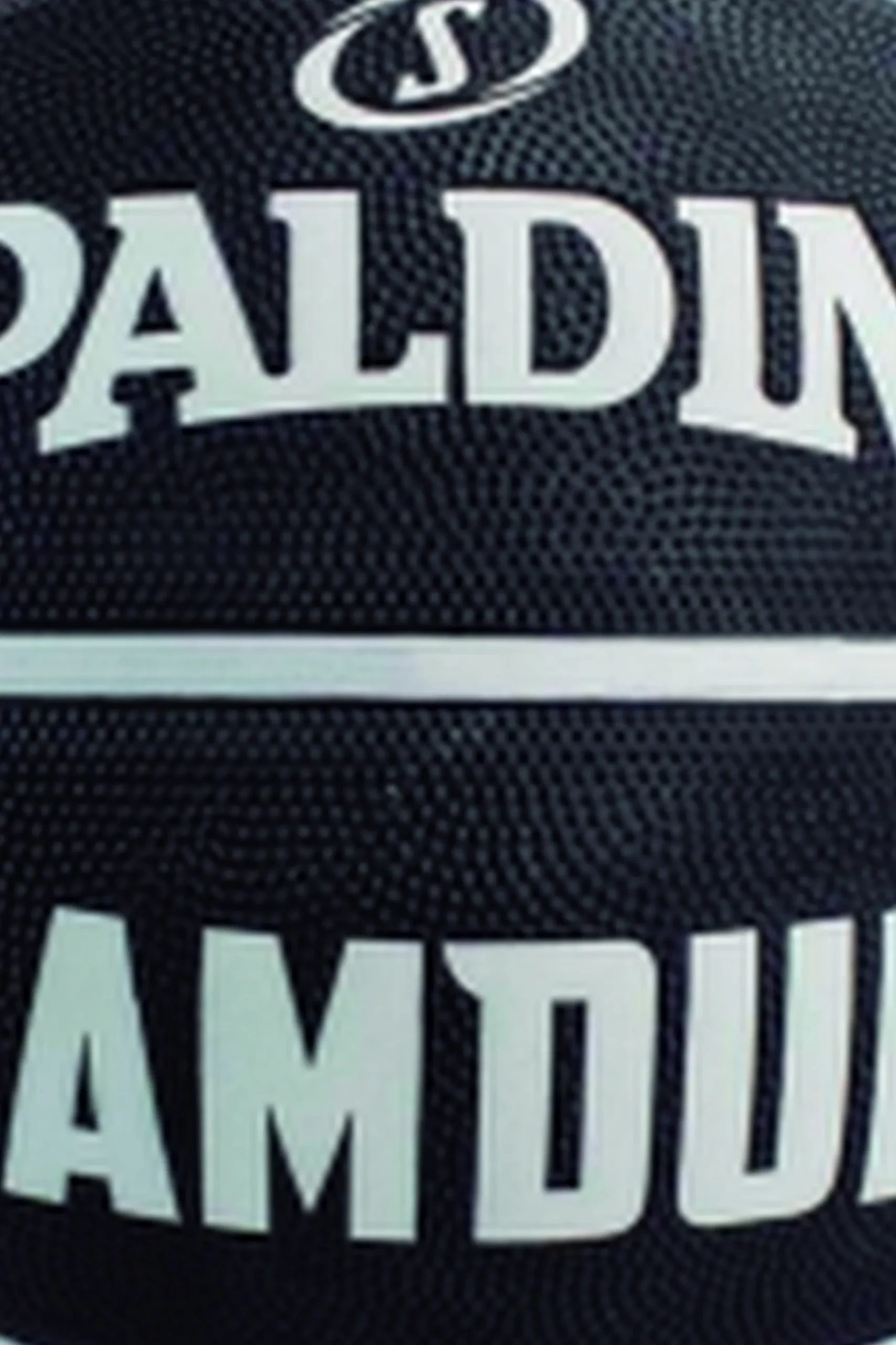 Spalding Slam Dunk Black-wht Basquete Sz5