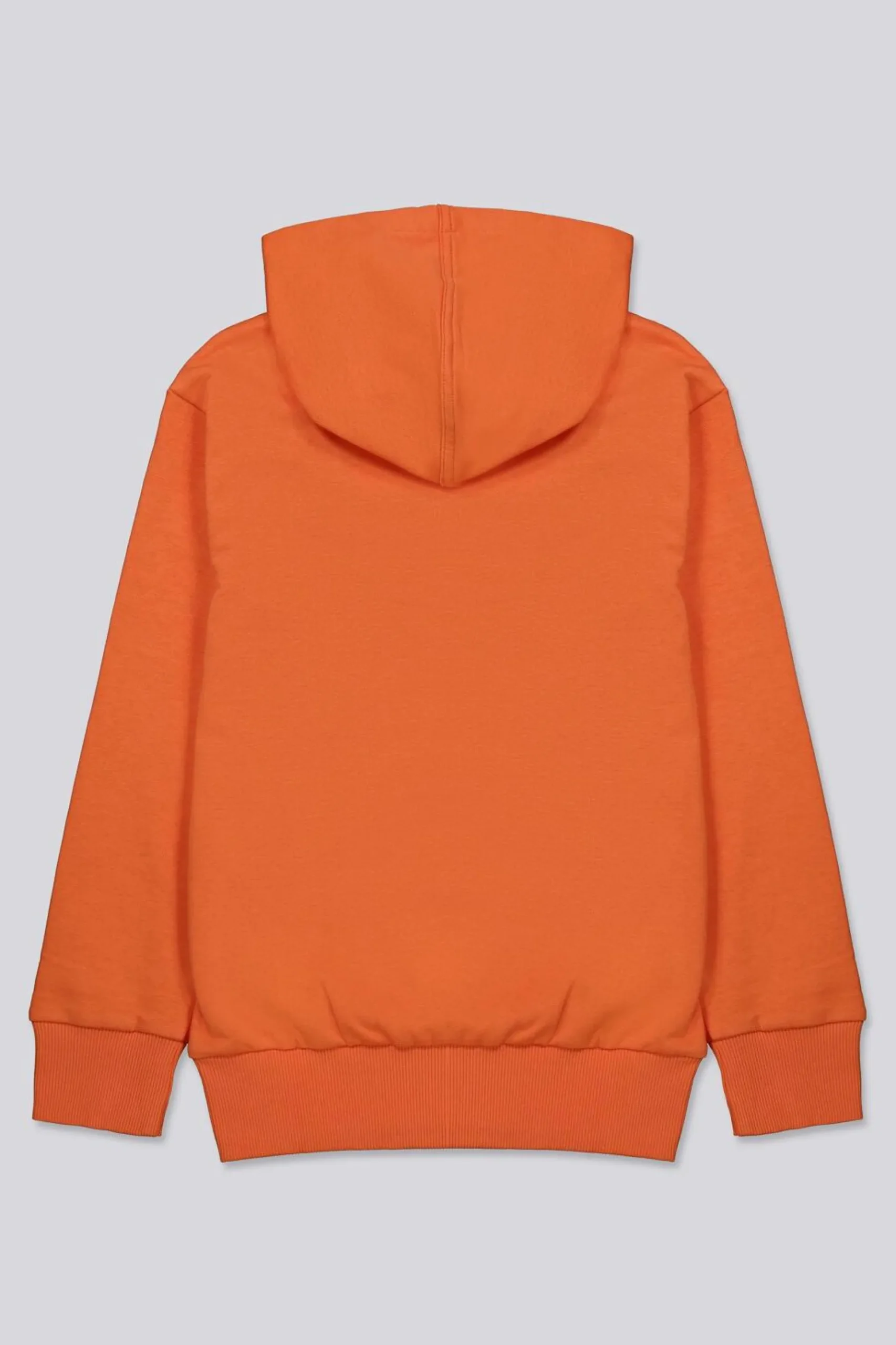Sweatshirt adidas