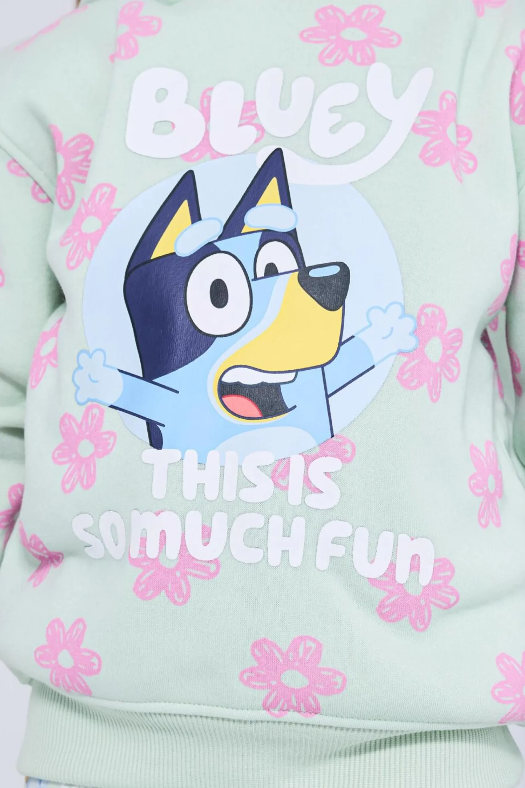 Sweatshirt Capuz Bluey