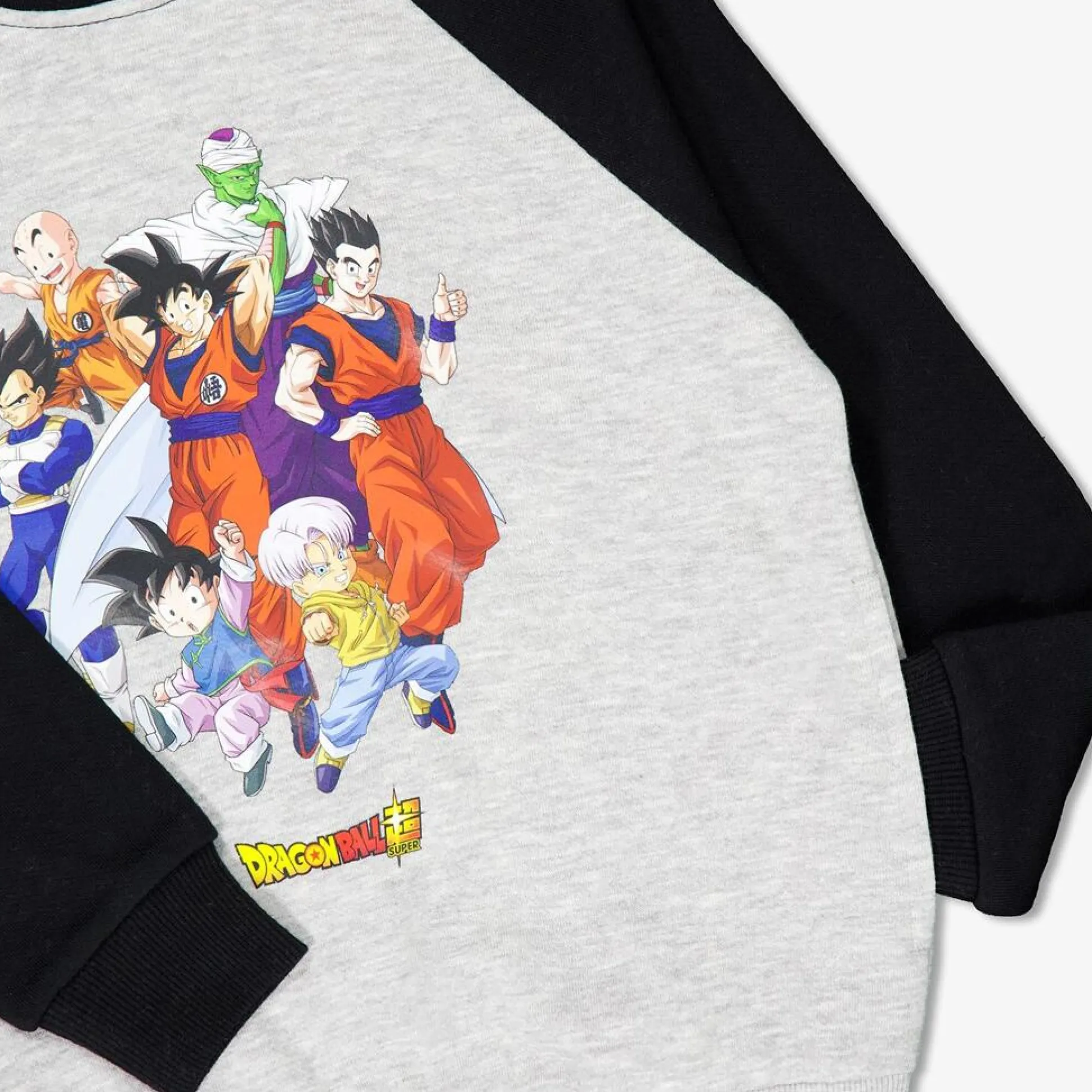 Sweatshirt Dragon Ball
