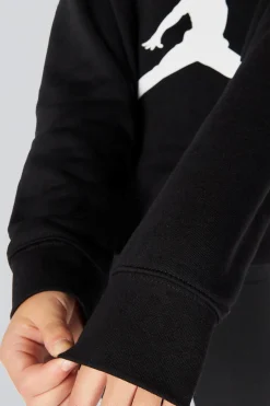 Sweatshirt Jordan